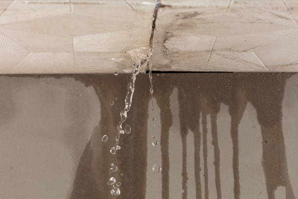 Professional Burst Pipe Cleanup technician working in Wild Rose, WI